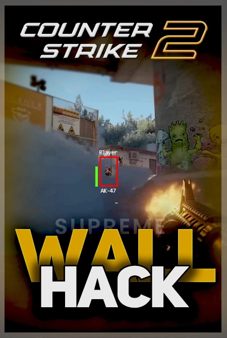 Wallhack CS2